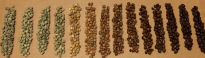 Colour gradient during roasting