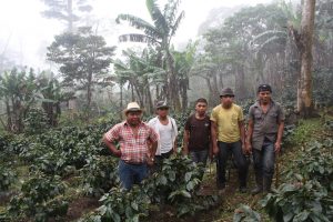 Hardworking coffee farmers